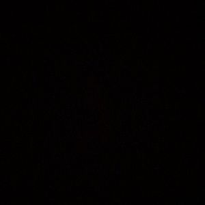 Meet your Posher, Henry